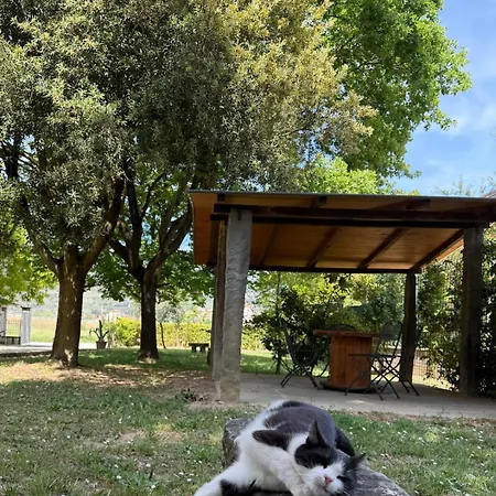 Casa vacanze Cornici Di - Cortona