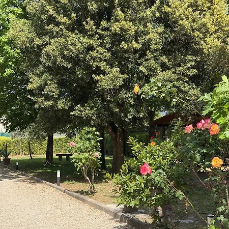 Cornici Di - *