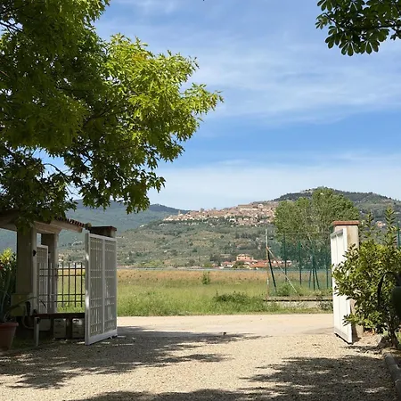 Cornici Di -