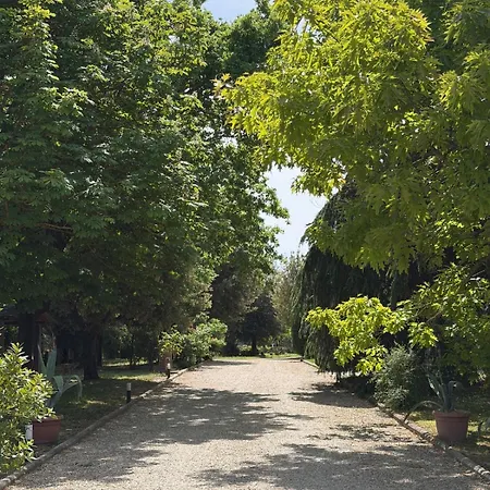 Cornici Di - * Cortona