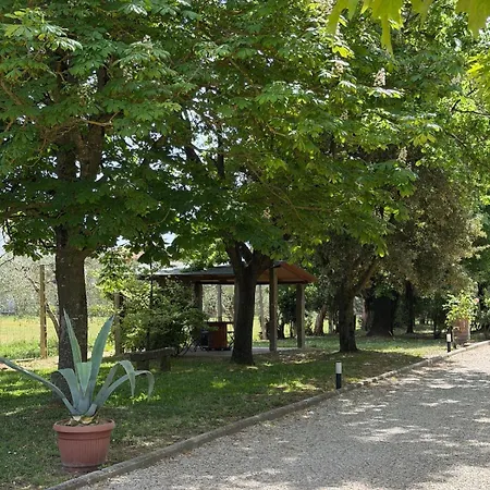 Cornici Di - * Cortona